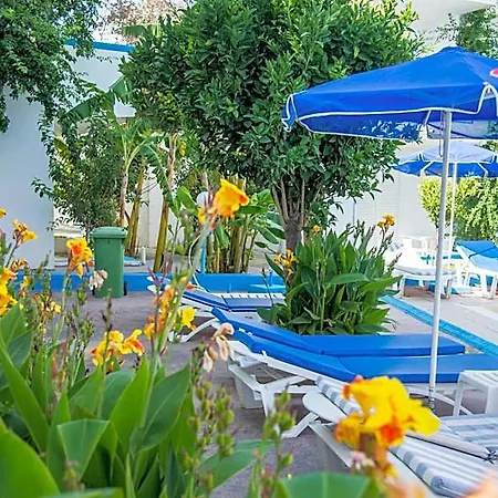 Yiannis Yard & Cos