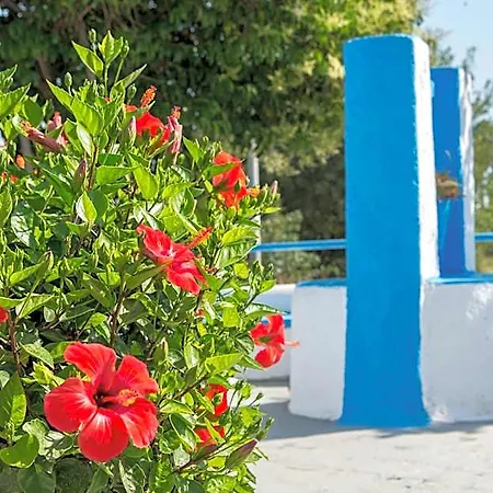 Yiannis Yard & 4*