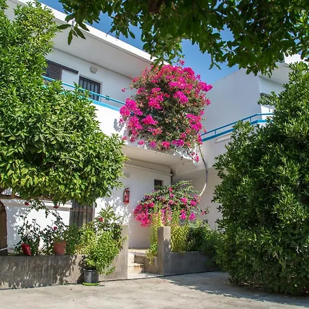 Yiannis Yard & 4*