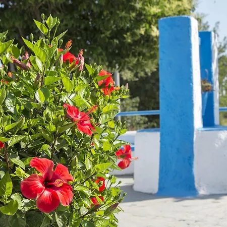 Yiannis Yard & 3*