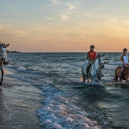 Yiannis Yard & Aparthotel 3*