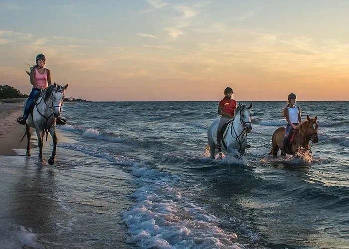 Yiannis Yard & Lägenhetshotell 3*